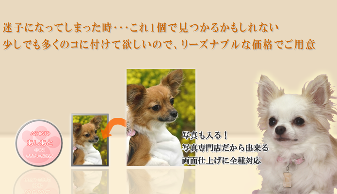 �y�b�g���q�D